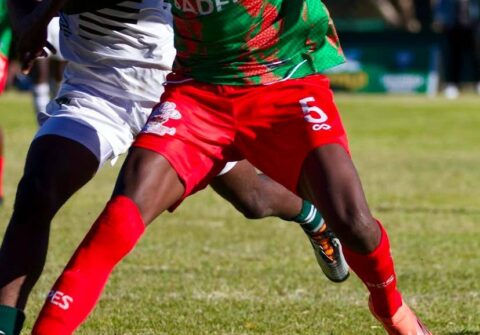 502617227_1101892431993072_8488567024798855265_n