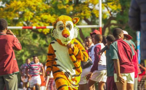 523900168_1141307254718256_2820628205945394936_n