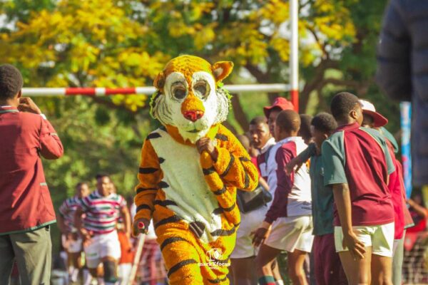 523900168_1141307254718256_2820628205945394936_n