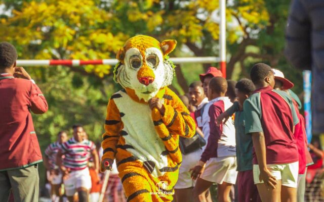 523900168_1141307254718256_2820628205945394936_n