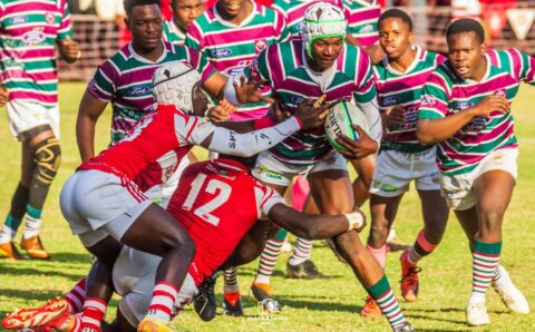 prince edward school houses