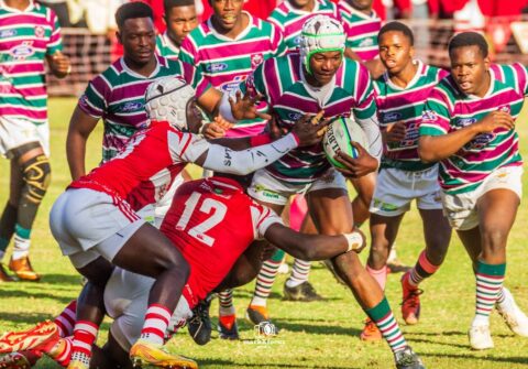 prince edward school houses