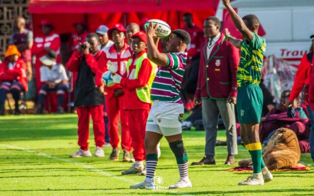 524384447_1141339334715048_4572999527320254691_n