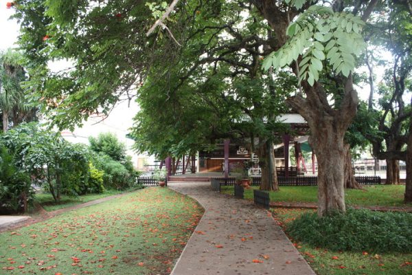 Path outside School Offices towards gym 2010