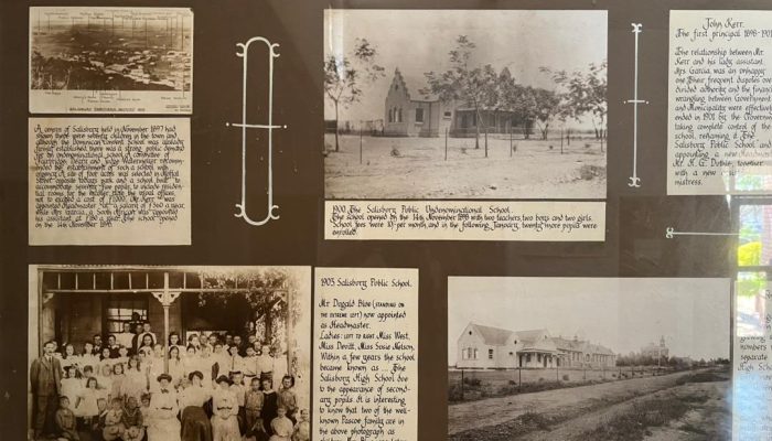 IMG-20251010-WA0006 (1)